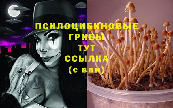 герыч Арсеньев