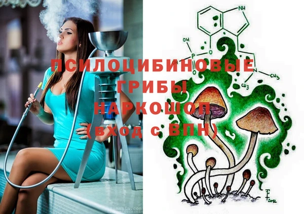 синтетический гашиш Алексеевка