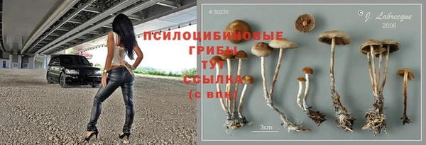 героин Алзамай