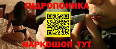 крисы Вышний Волочёк