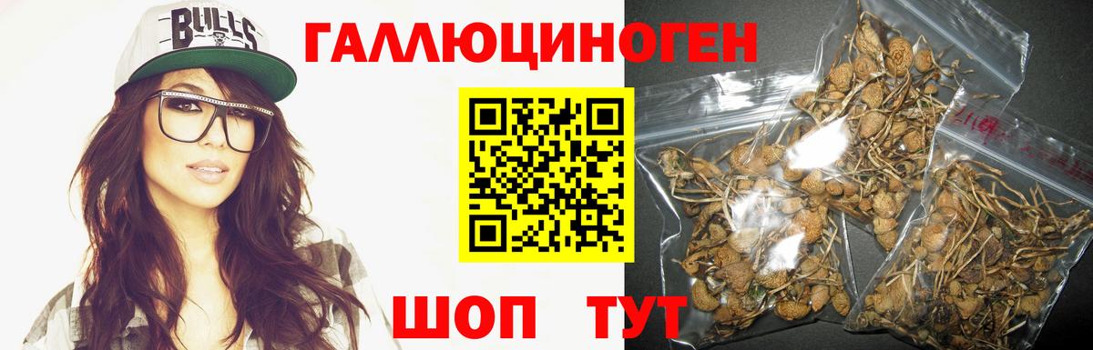 Псилоцибиновые грибы Magic Shrooms Белорецк